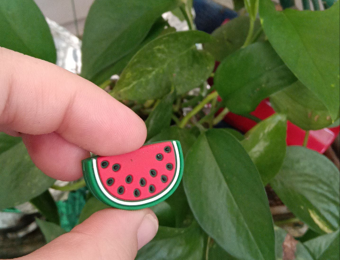 Watermelon Focal